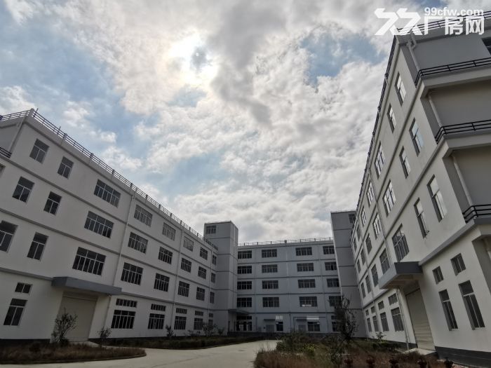 [漳州港]全新正规标准厂房招租，可分租