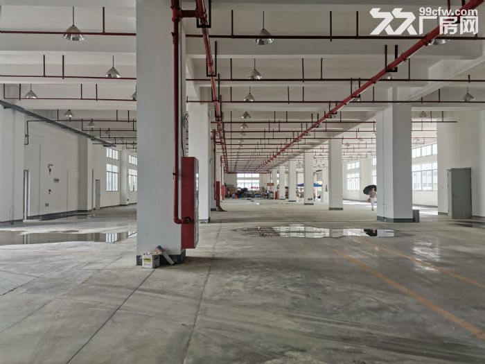 [漳州港]全新正规标准厂房招租，可分租-图2