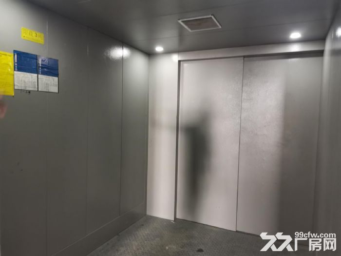 [漳州港]全新正规标准厂房招租，可分租-图3