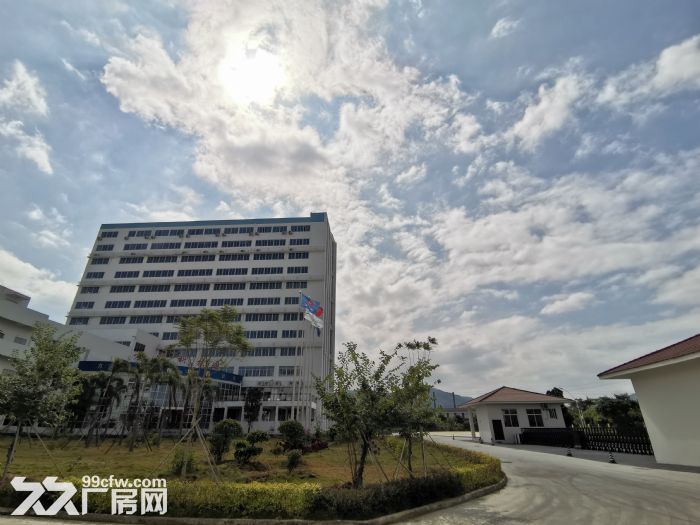 [漳州港]全新正规标准厂房招租，可分租-图6